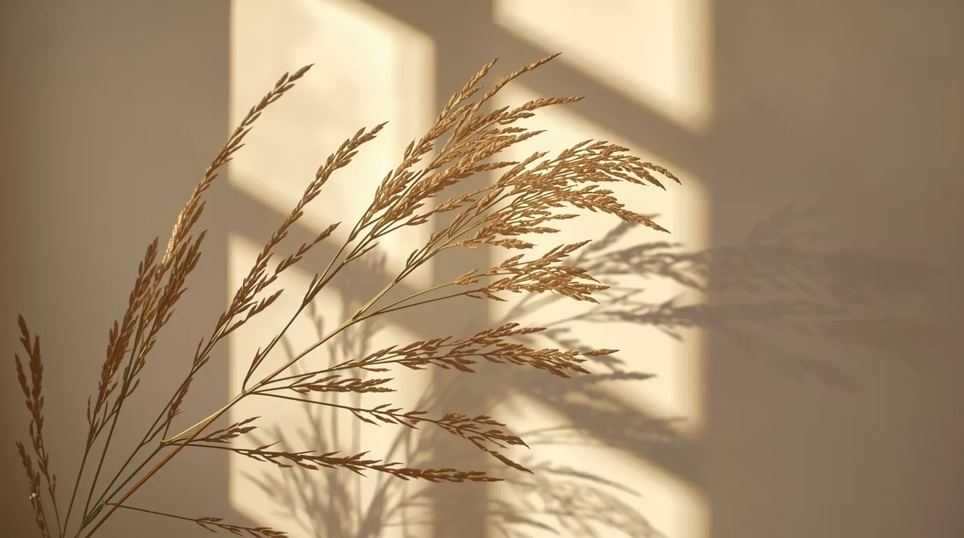 الضوء اليومي وتهدئة مسائية أنعم